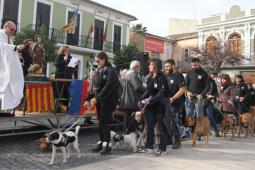 Voluntaris de Modepran amb els gossos del Servei Municipal d’arreplega i custòdia d’animals