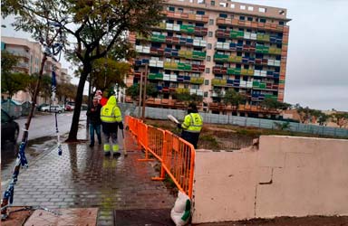 El Ayuntamiento de Paterna realiza la revisión de infraestructuras y árboles tras el paso de la borrasca 