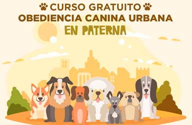 Paterna ofrece un nuevo curso gratuito de obediencia canina urbana 