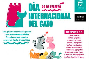  Paterna lanza una campaña de sensibilización con motivo del Día del Gato