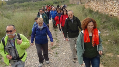 Museu al Carrer: Fang, Canyes i Pins