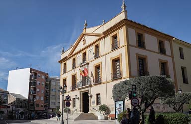 Paterna finalitza el tractament preventiu per a combatre la processionària en l'arbratge del municipi aquesta tardor