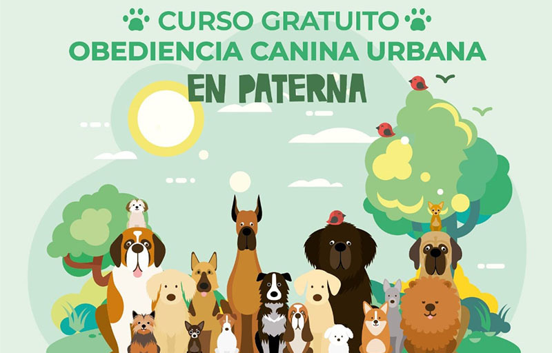 Curso de Obediencia Canina