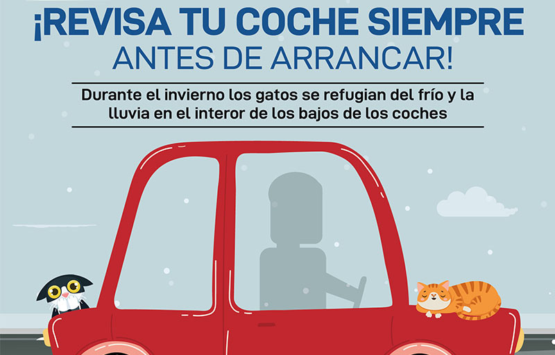 Revisa tu coche siempre antes de arrancar