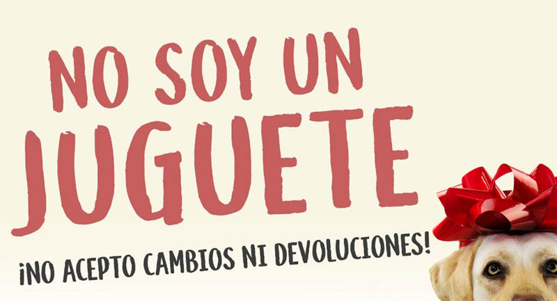 No soy un juguete