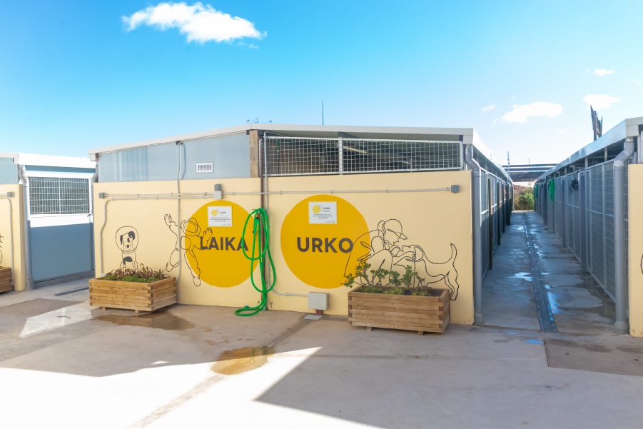 Instalaciones del Refugio de Animales de Paterna - Imagen 2