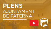 PLENS AJUNTAMENT PATERNA