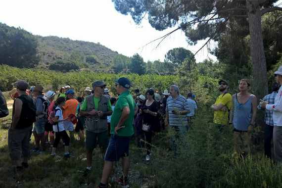 Imatge de l’excursió per la Canyada