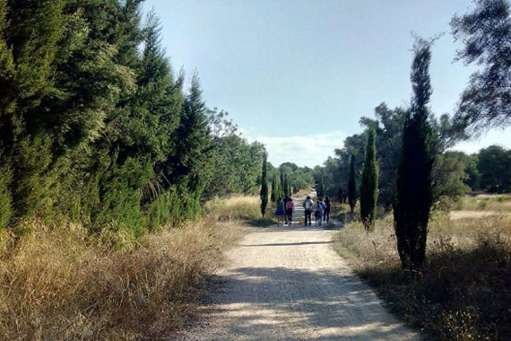 Camino montaña