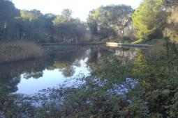 Imagen del Parque Natural del Turia