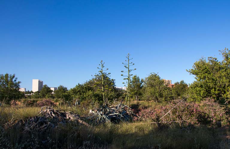 Podemos Paterna reclama mayor protección del paraje de Les Moles y dice NO a la especulación urbanística