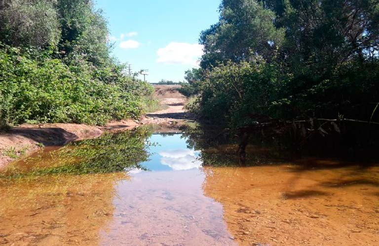 Podem Paterna amb la defensa total del paratge natural de Les Moles. Volem que s’incloga a l’ampliació del Parc del Túria