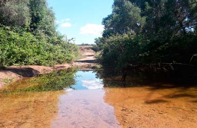 Podem Paterna amb la defensa total del paratge natural de Les Moles. Volem que s’incloga a l’ampliació del Parc del Túria