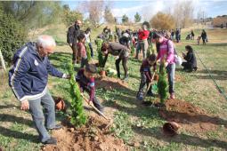 Imágenes de la plantación desarrollada ayer