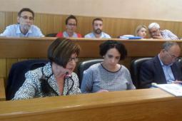 Imatge de la defensora del veí de Paterna en un moment de la seua intervenció
