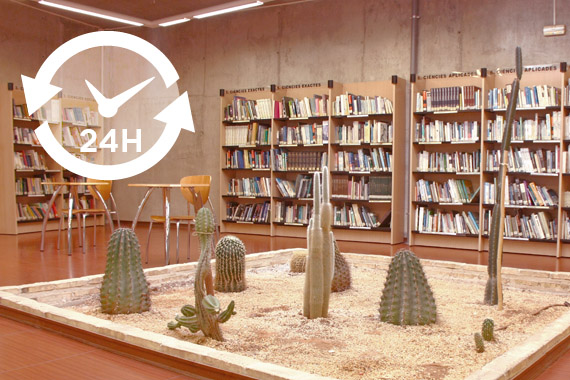 Imagen del interior de la biblioteca de la Cova Gran