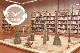 Imatge de l'interior de la biblioteca de la Cova Gran
