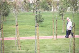 Paterna adaptará el Parc Central y su entorno urbano para personas con movilidad reducida