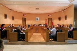 Foto del Pleno de febrero