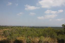 Imagen de la Vallesa
