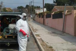 Trabajador tratando uno de los árboles