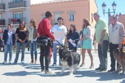 Foto de Noa con su dueña al recibir el premio de mano del alcalde de Paterna