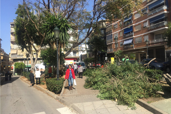 Obras en la Plaza Mayor