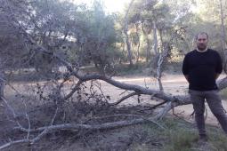 Foto del Teniente de Alcalde de Urbanismo y Medio Ambiente t, Carles Martí en la Vallesa