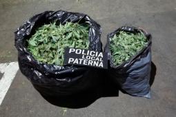 Imagen de la droga incautada