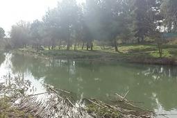 Paterna pide 1.000.000 de euros al Estado para el mantenimiento del Parque Fluvial