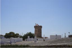 Vista de la Torre