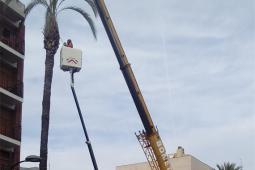 Paterna tala una palmera de 25 metres en Vicente Mortes davant el perill de caiguda