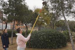 Paterna triplica los pinos tratados contra la procesionaria hasta alcanzar los 13.000 árboles