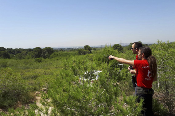 Paterna amplia la franja de seguridad, coloca un hidrante más y duplicará sensores para prevenir incendios en La Vallesa