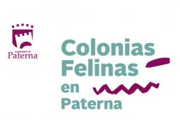 Paterna instaura un plan de control de las colonias felinas del municipio