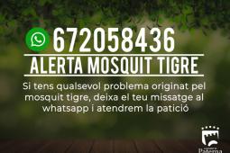 Wasapp mosquito