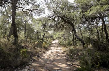 L'Ajuntament posa en marxa el reforç de vigilància forestal de la Vallesa per als mesos d'estiu