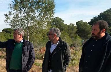 La Concejalía de Medio ambiente solicita trabajos de mejora y ampliación de las franjas de seguridad del bosque de La Vallesa
