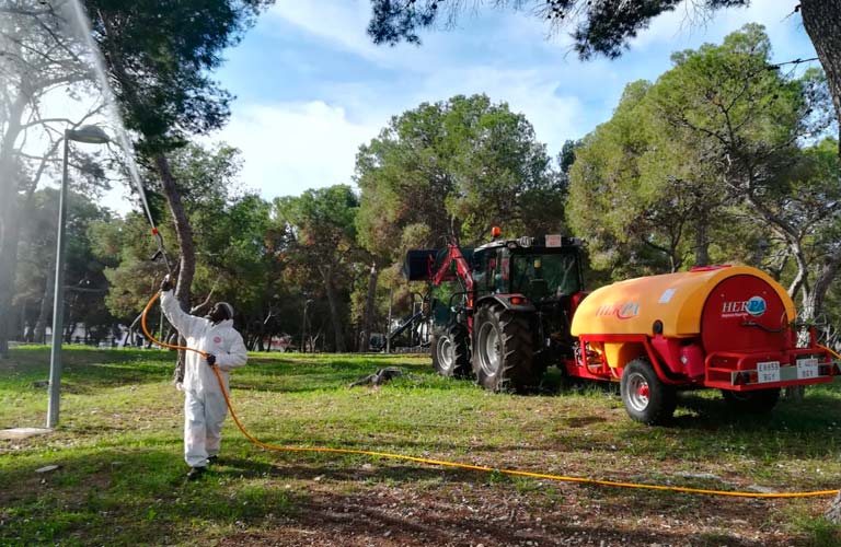 Paterna intensifica la lluita contra la processionària amb un tractament biològic