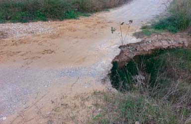 Sagredo reclama a conselleria que mejore las rutas cicloturistas del Parque Natural del Túria en Paterna