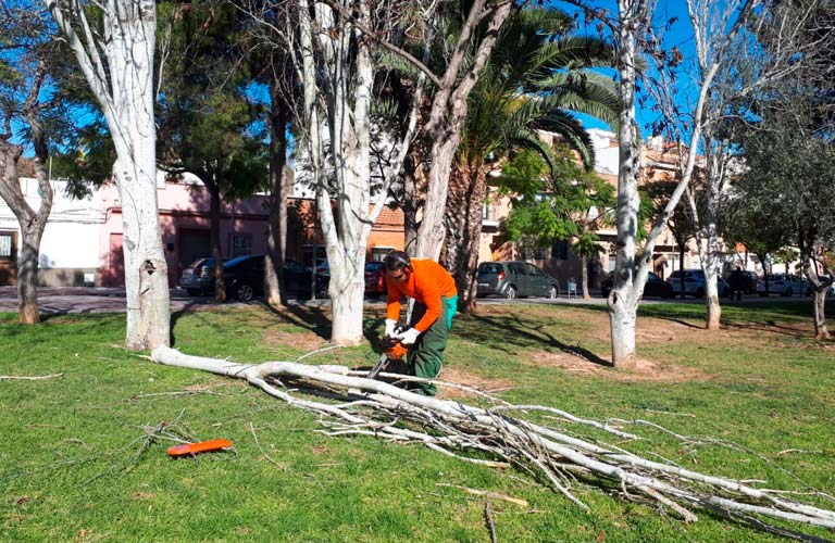 El Ayuntamiento de Paterna gestiona medio centenar de incidencias por fuertes vientos 