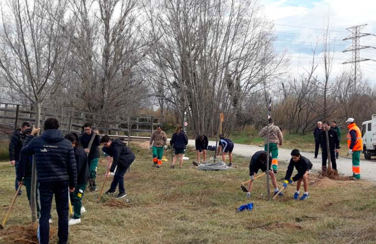 Els escolars de Paterna celebren el Dia de l'Arbre amb la plantació d'un miler d'exemplars autòctons