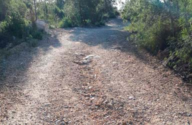 Paterna adecua los circuitos forestales de entrada a La Vallesa para reforzar la seguridad y prevenir incendios