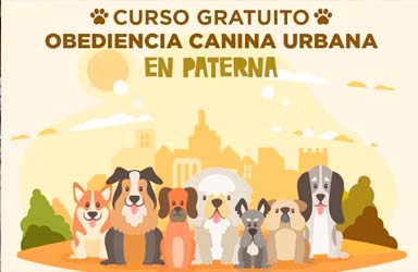 Paterna oferirà un curs gratuït d'obediència canina urbana