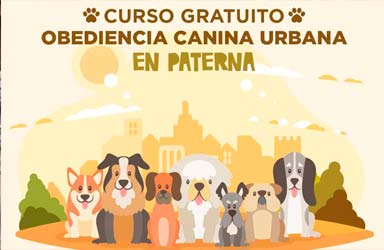 Paterna ofrecerá un curso gratuito de obediencia canina urbana 