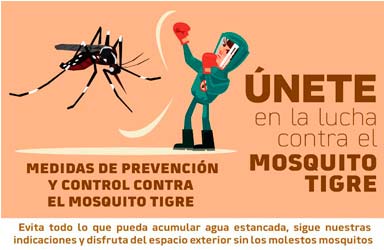 L'Ajuntament de Paterna llança una campanya per a combatre el mosquit tigre