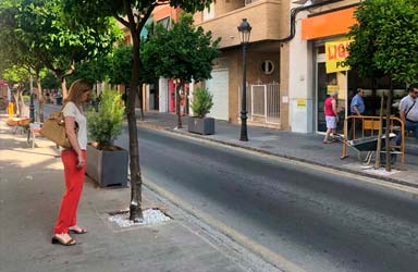 Paterna finaliza el relleno de alcorques mejorando la accesibilidad de la calle Mayor