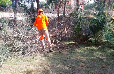 Paterna intensifica la neteja de les franges de seguretat forestal per a previndre incendis