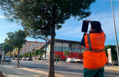 Paterna pone en marcha un inventariado del arbolado de la ciudad que permite geoposicionar cada ejemplar