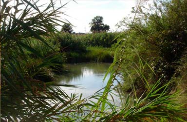 Paterna reduce en un 90% la contaminación de las aguas residuales industriales